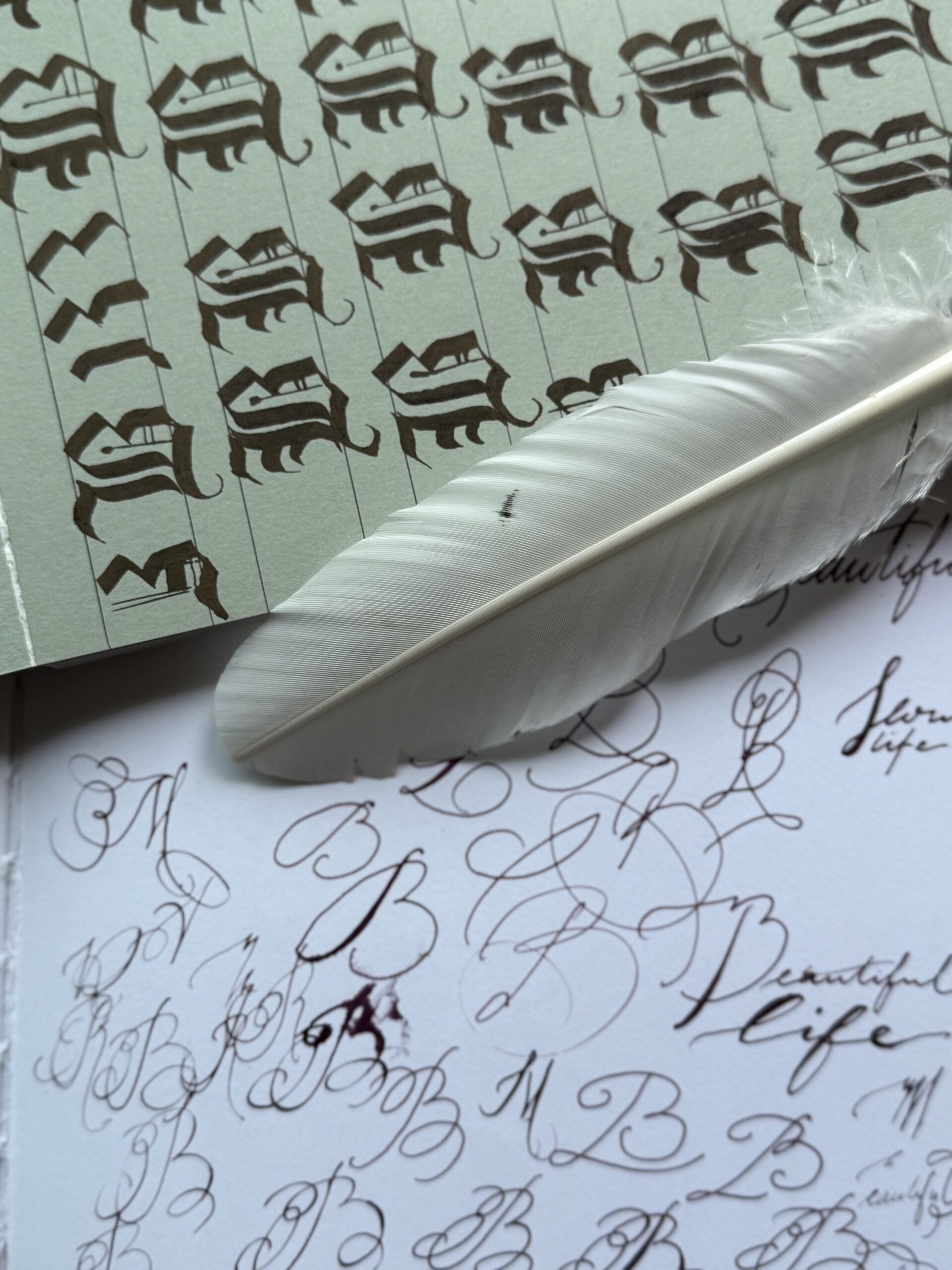 artiste calligraphe Nice